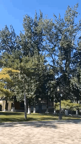 秋高气爽