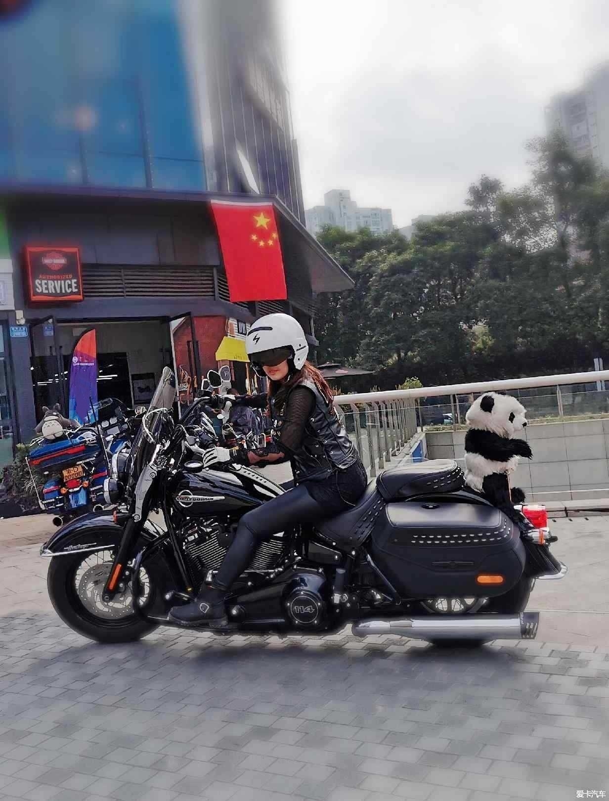 北京哈雷女骑手图片