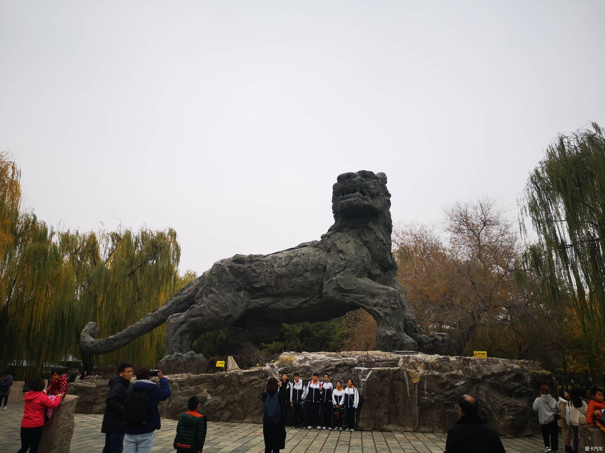 2022北京动物园狮虎山图片