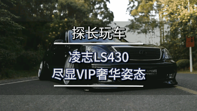 凌志LS430尽显VIP奢华姿态
