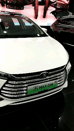 宋max DM