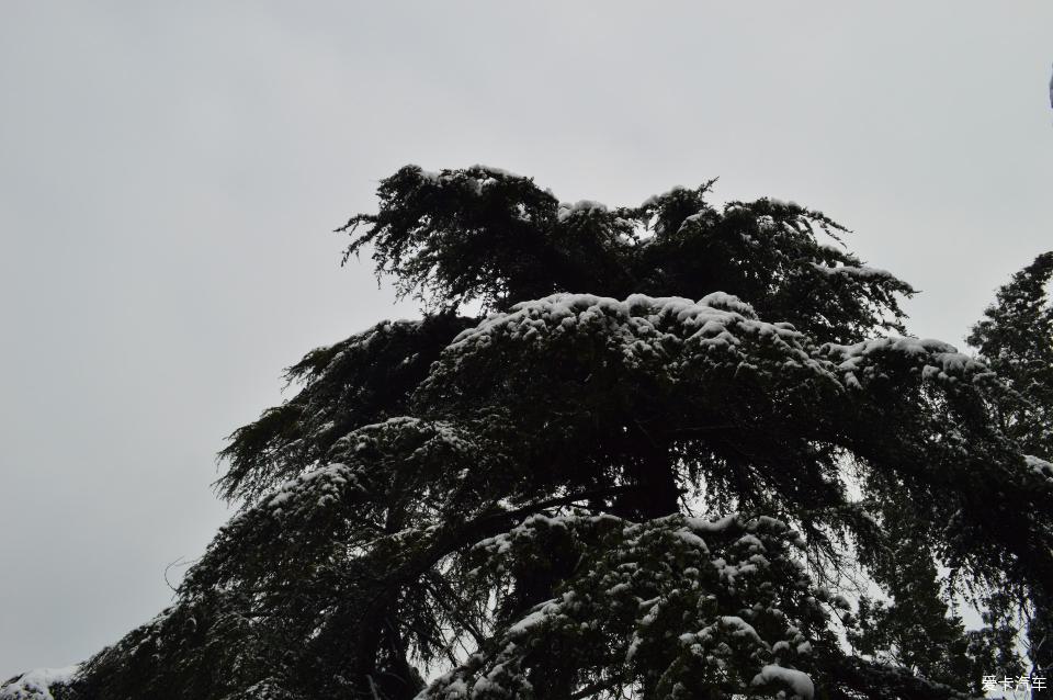 雪中的南京中山陵