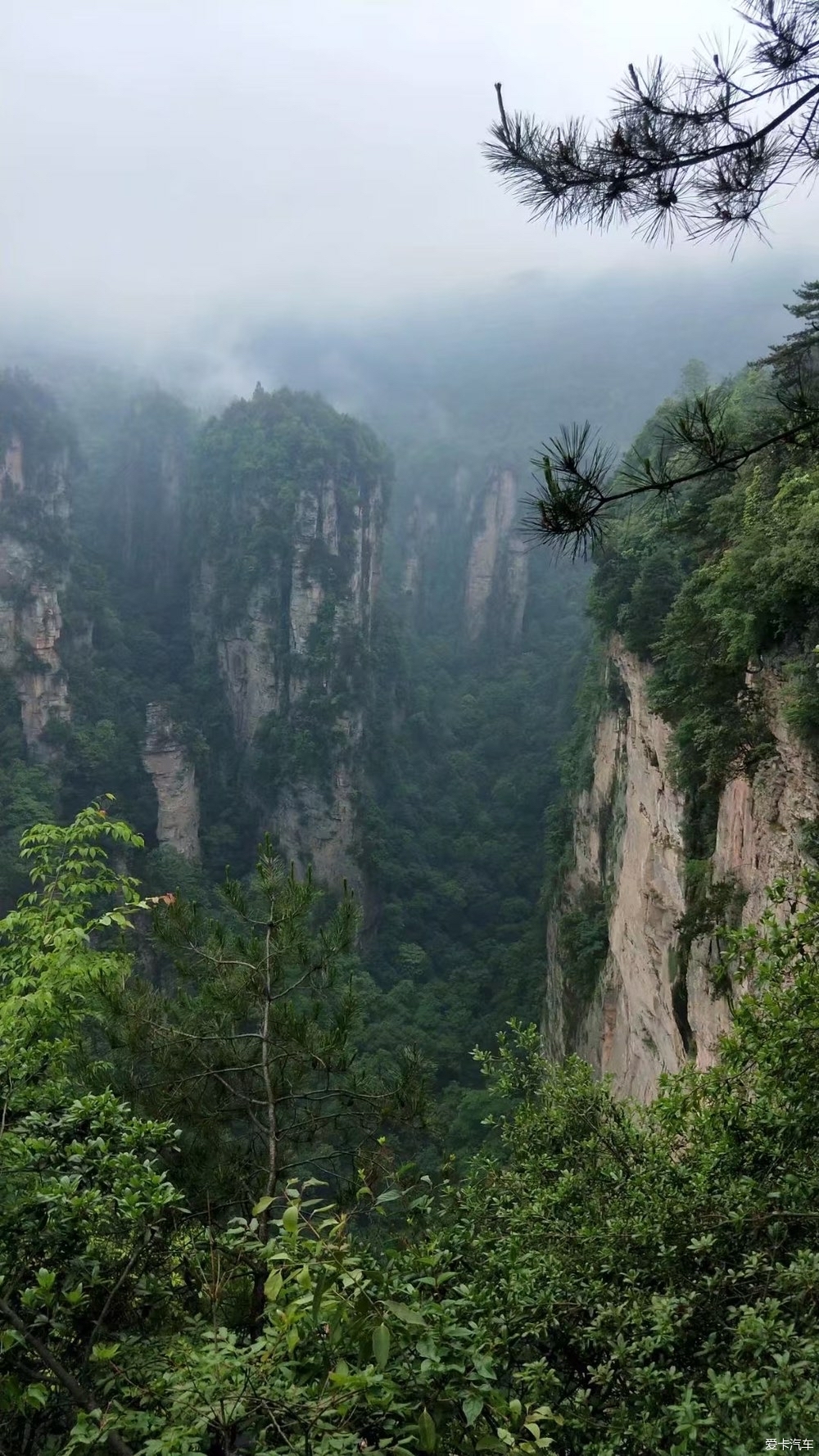 参观阿凡达的家乡张家界的群山峻岭探岳