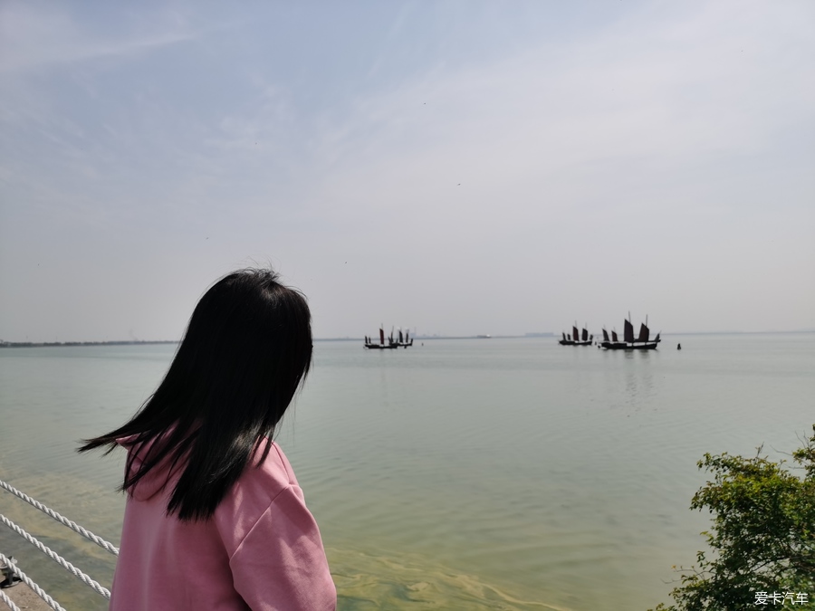 【复苏】无锡网红打卡地-贡湖湾湿地公园休闲游