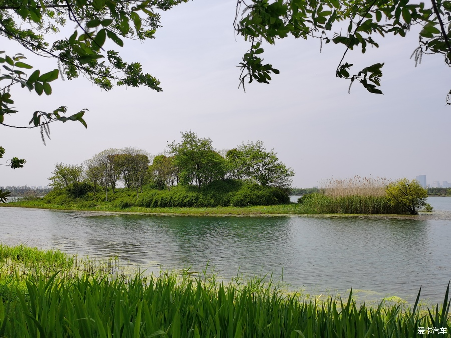 【复苏】无锡网红打卡地-贡湖湾湿地公园休闲游