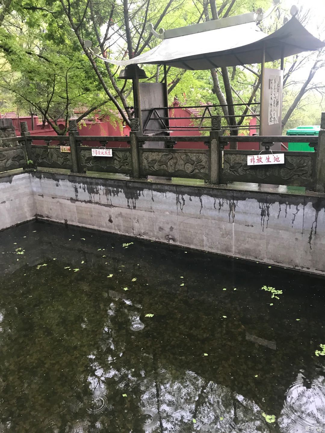 穀雨小遊獅子嶺兜率寺