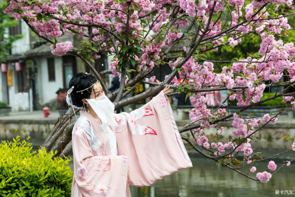 西塘暢遊花神節