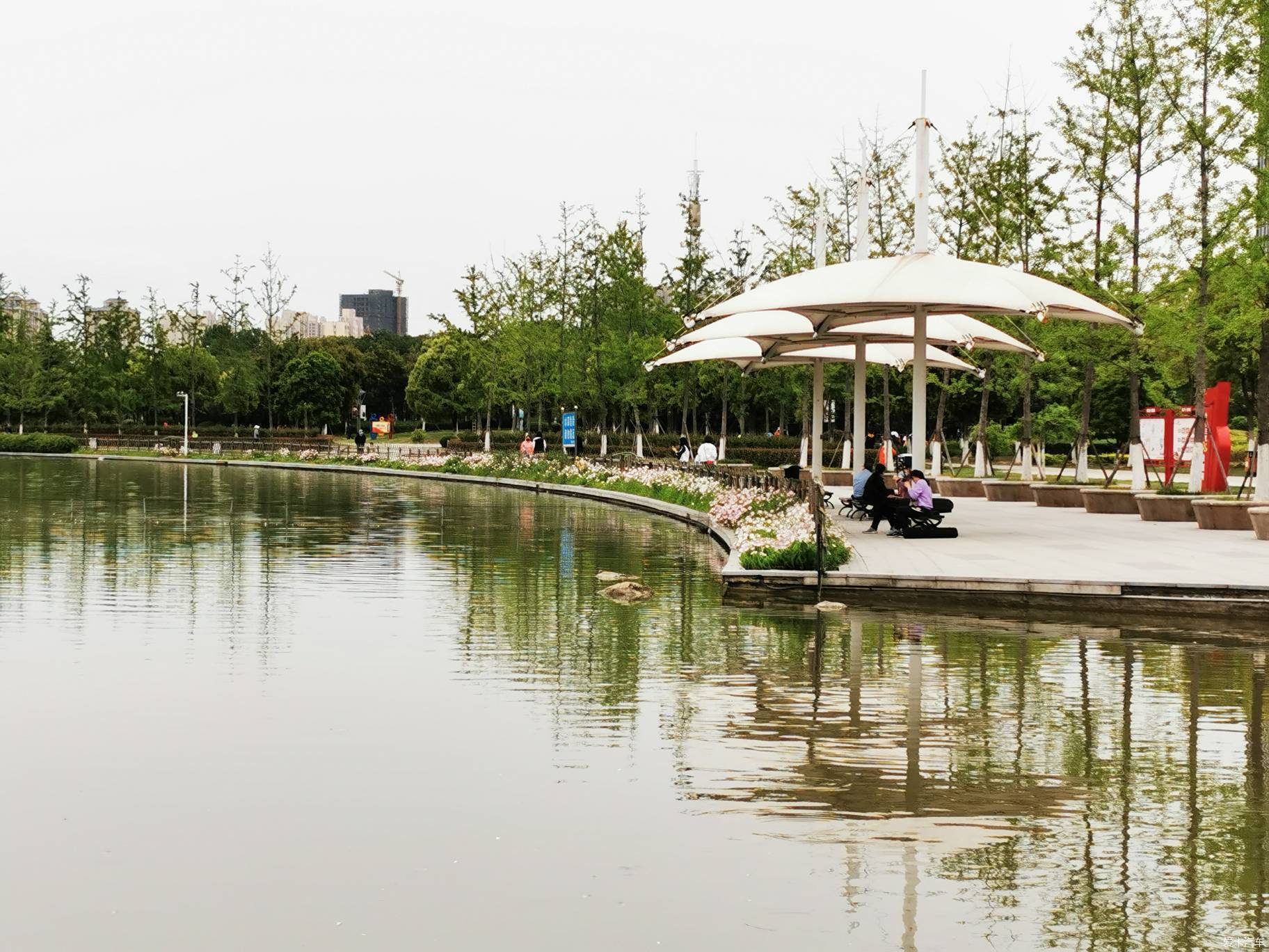 紫贞公园图片图片