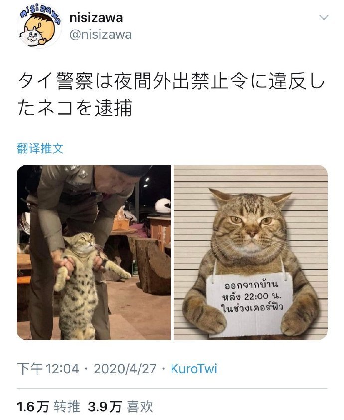 泰国警察逮捕了一只猫