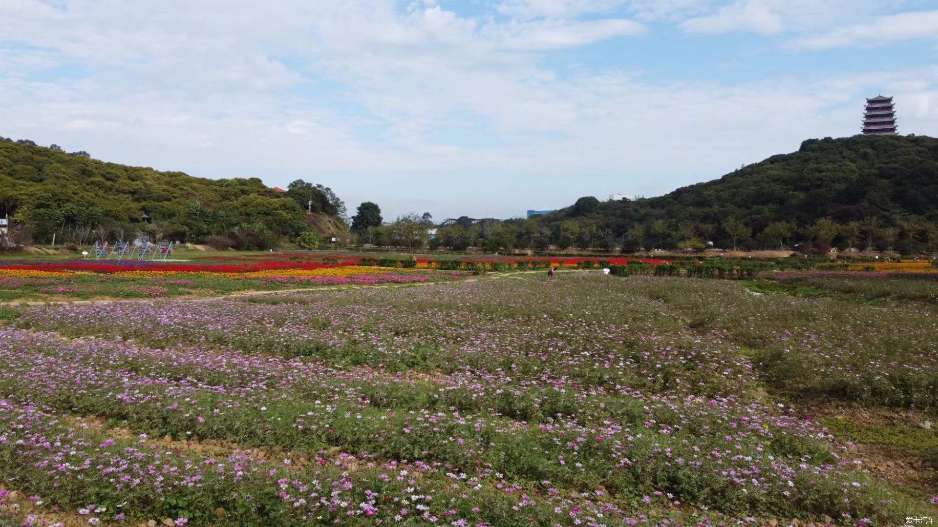 4月你好春天裡的大王山森林公園