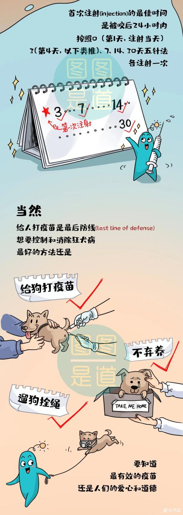 狂犬病毒图片卡通图片