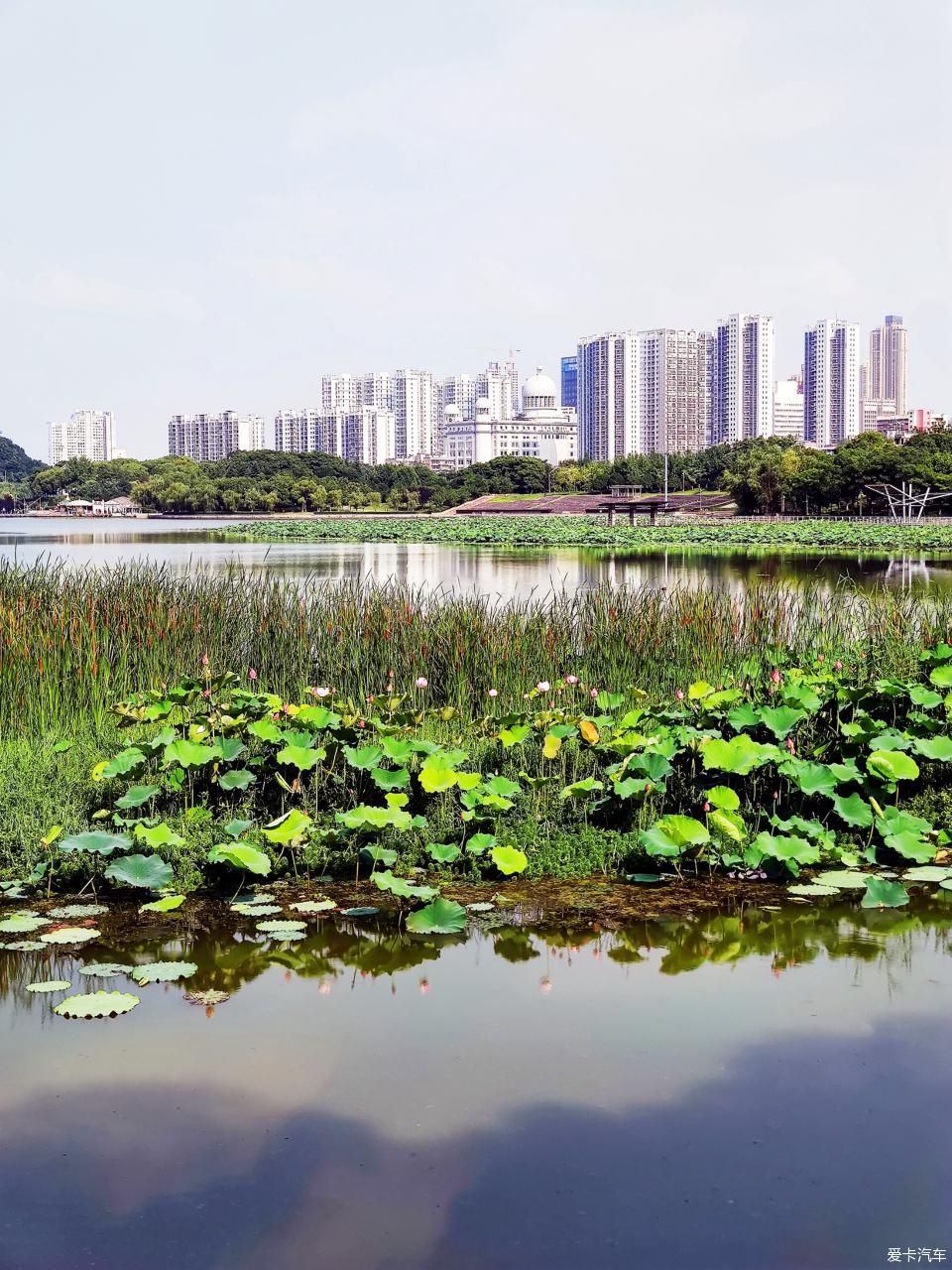 漢水公園與月湖風景區