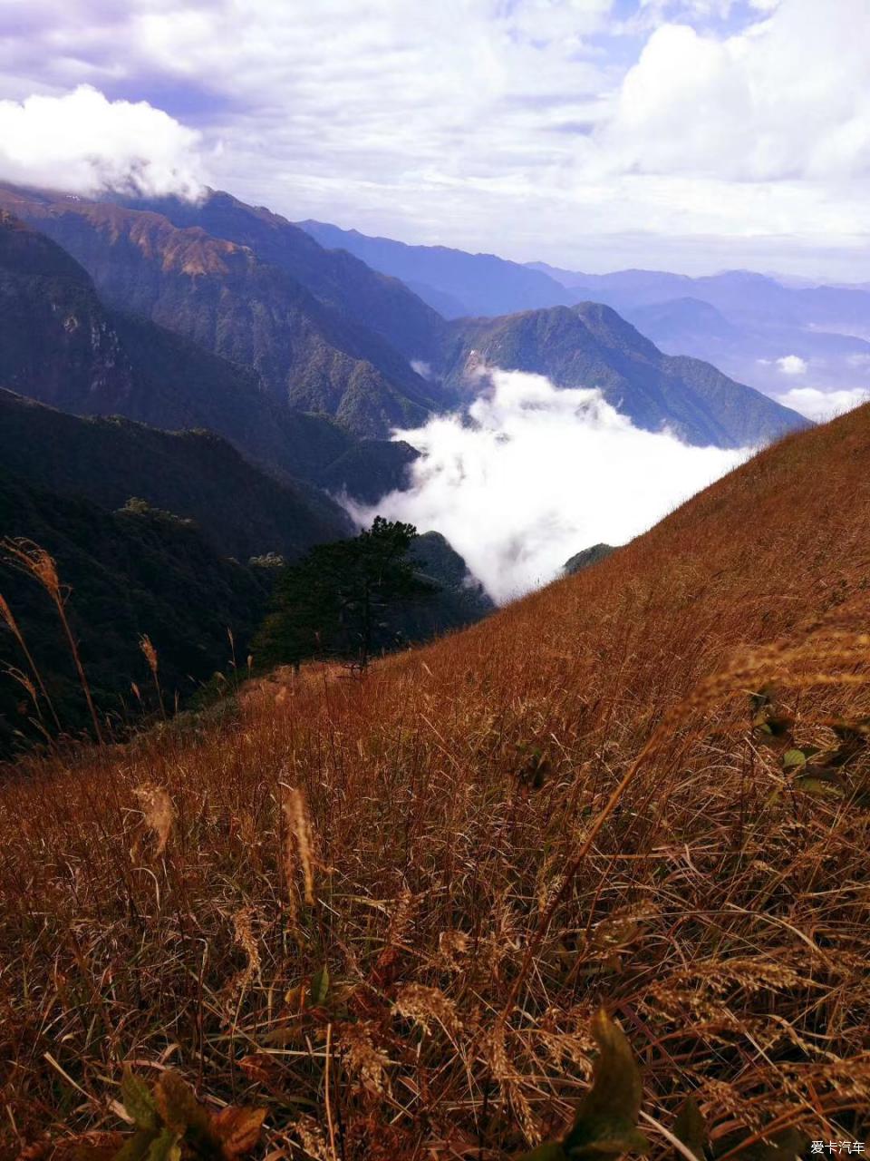 召喚鹿卡繼續來個對比吧武功山的秋天