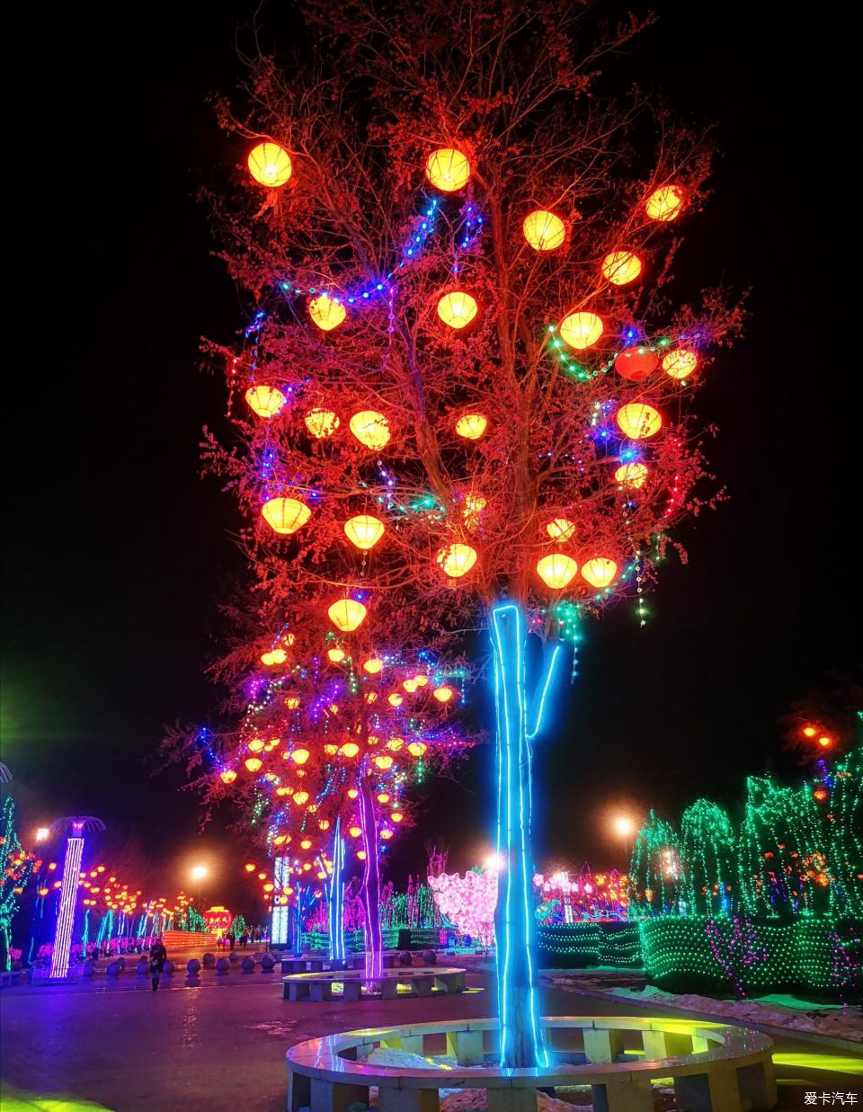 金沙植物园灯展图片