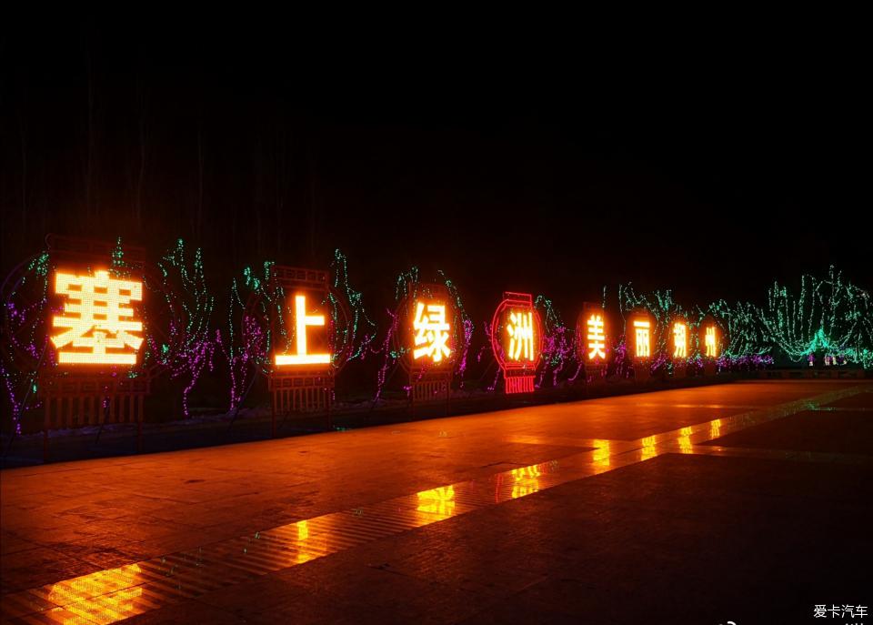 金沙植物园灯展图片