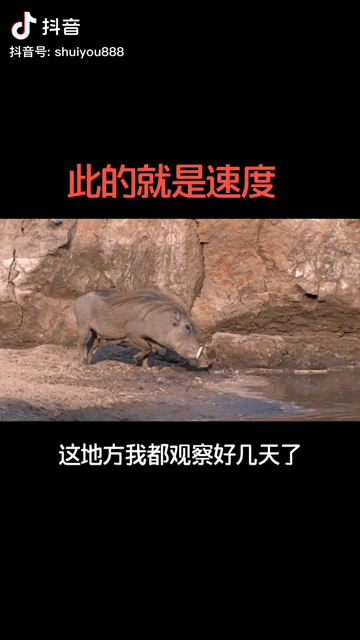 【热搜冲顶】速度！