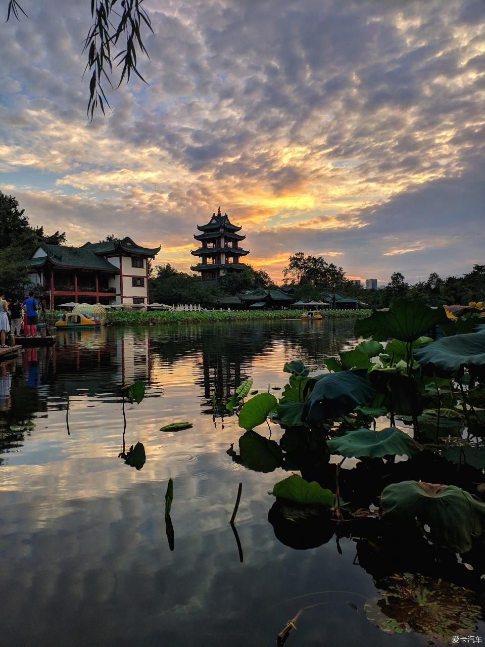 手机镜头下的新都桂湖公园