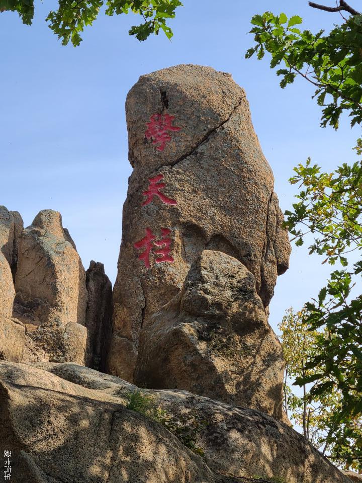 鹿卡帶你去旅行短距離的園遊壽比南山不老松