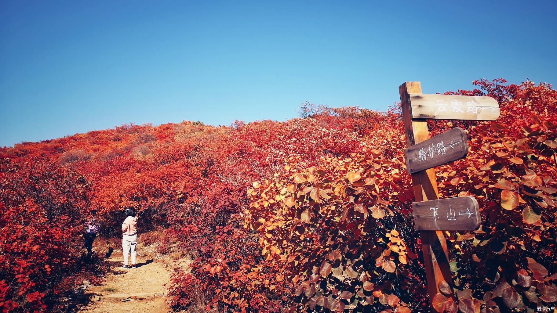 游金沙河佛照山用镜头定格这满山红叶,层林尽染的金秋十月!