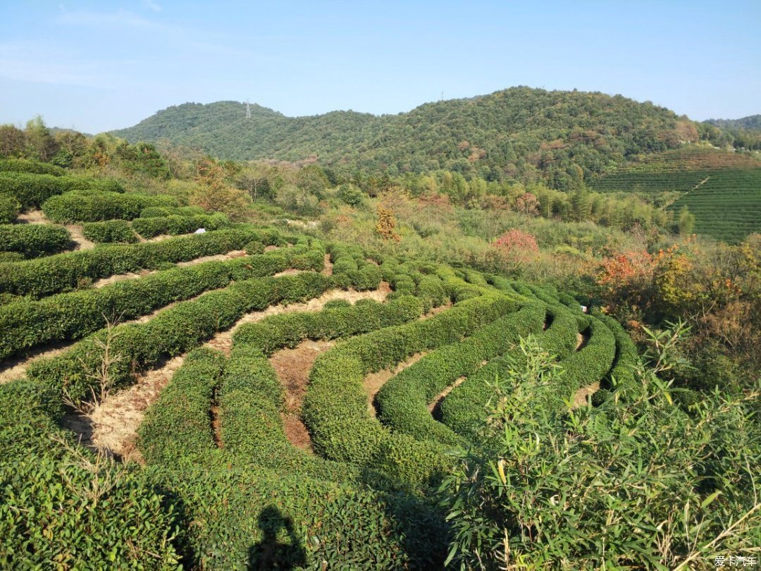 龙坞景区图片