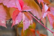 古北水镇“金秋十月北京赏红叶之旅。