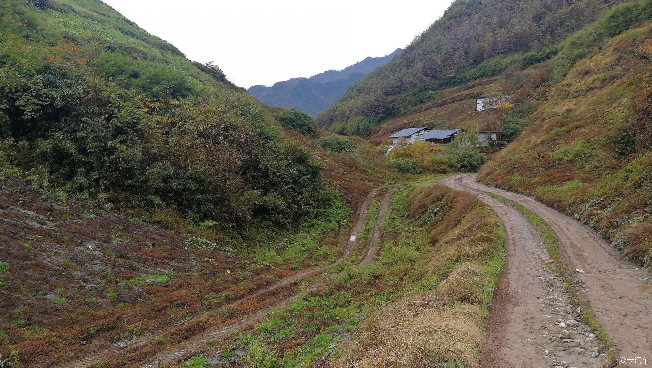 点击进入图库