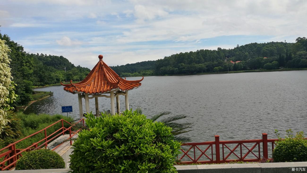 荆州碧波湖图片