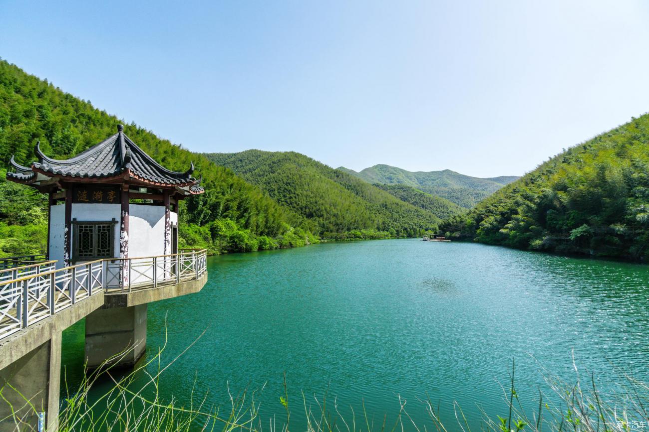 宜興萬畝竹海綠浪翻滾綿延不絕是夏日逃逸最佳去處