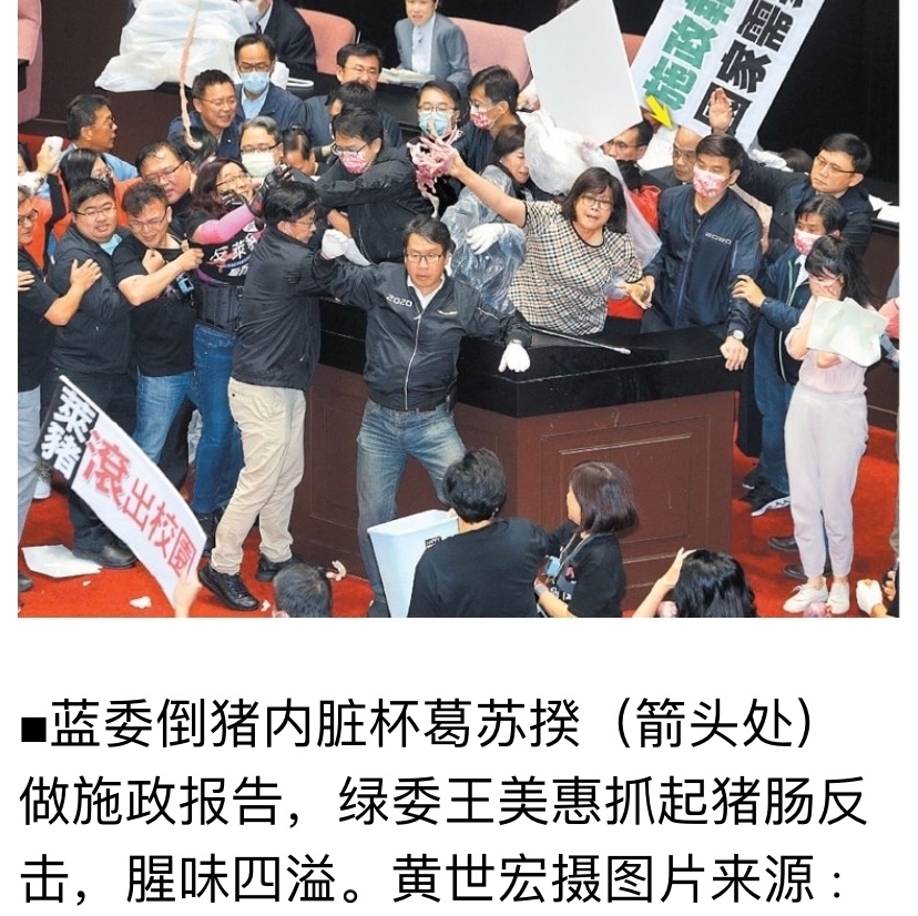 台湾立法会蓝绿委员辩论互扔猪肠和猪肝
