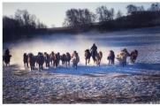 冬季前往木兰围场——乌兰布统大草原，用相机记录原生态冬日美景