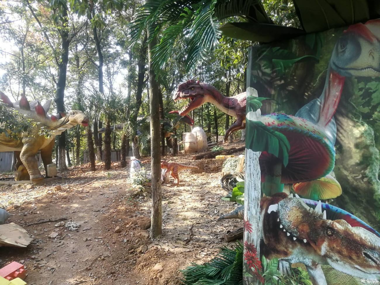 考察還未開園的武漢九峰森林動物園