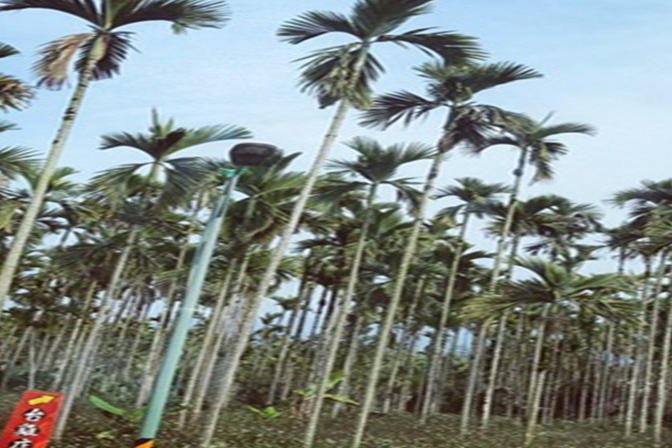环岛台湾咣哧~咣哧~