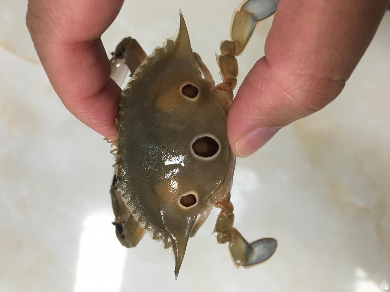 点击进入图库