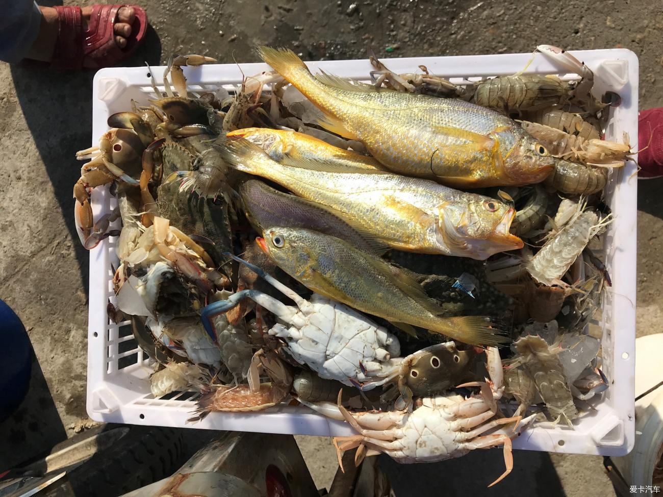 点击进入图库