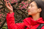 九峰山，寻梅就是赶在冬末春初之时见证宁波后花园的美！