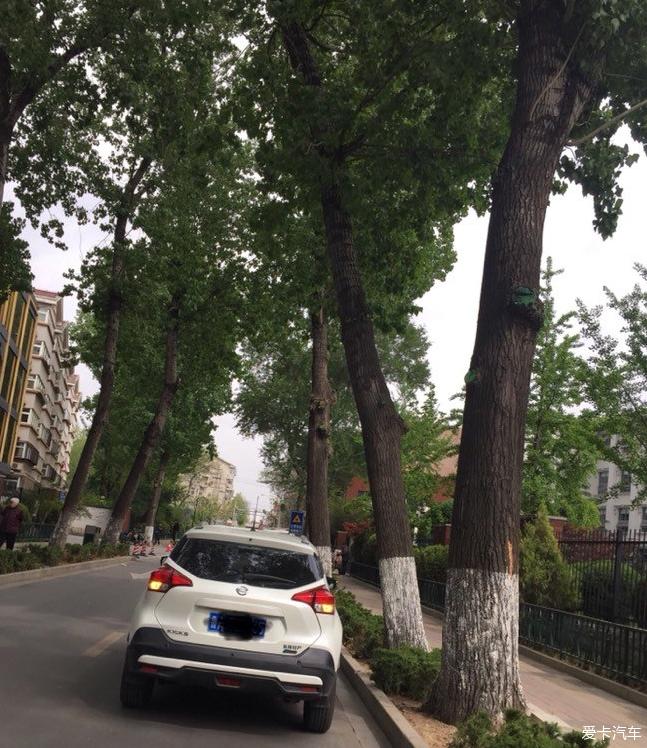 点击进入图库