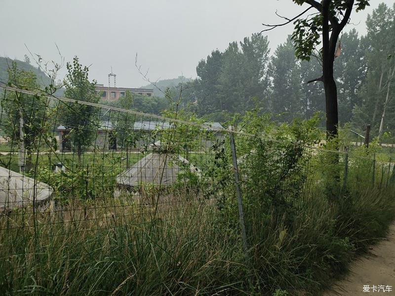 点击进入图库