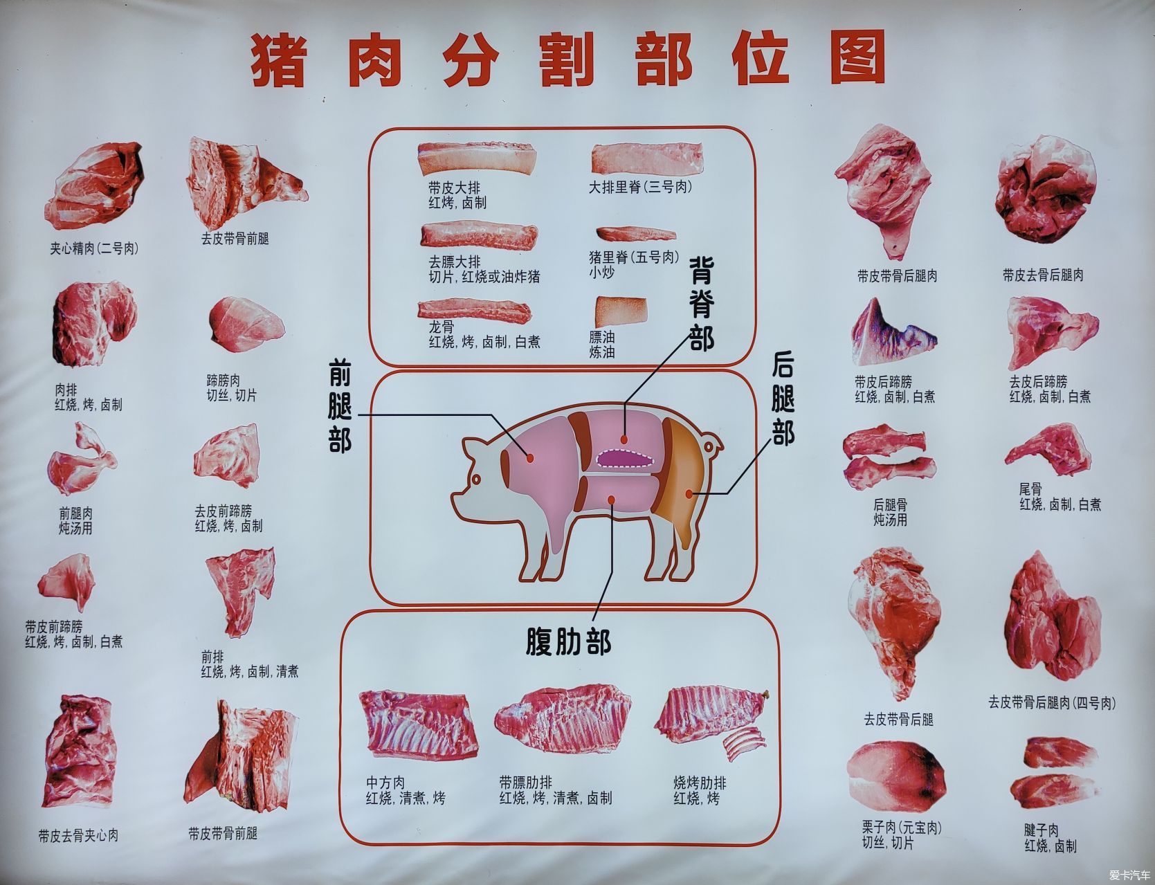 猪肉分割图及名称图片