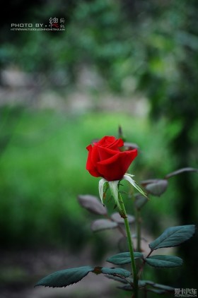 2013Ϫ԰~~ԽԽ...