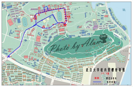 【武漢大學校內賞櫻線路圖】(原創高清大圖)