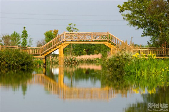 郫都香草湖湿地公园图片