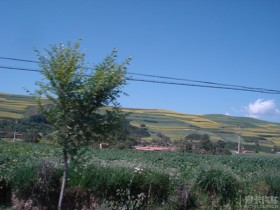 üԼݵȤ