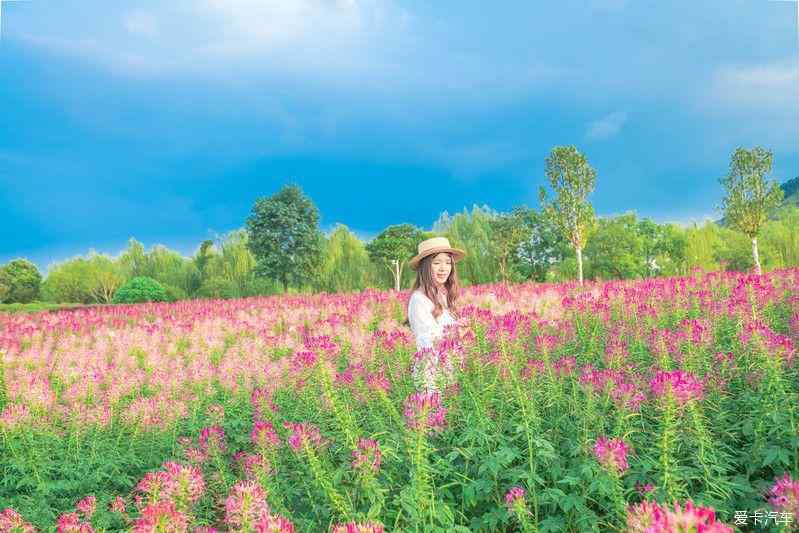 常州之行 花谷奇缘景区 东风瑞泰特论坛 爱卡汽车网论坛