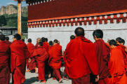 藏区行——甘南川西北，欣赏到不同的美景！