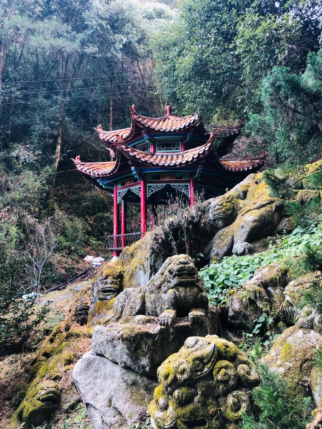 点击进入图库