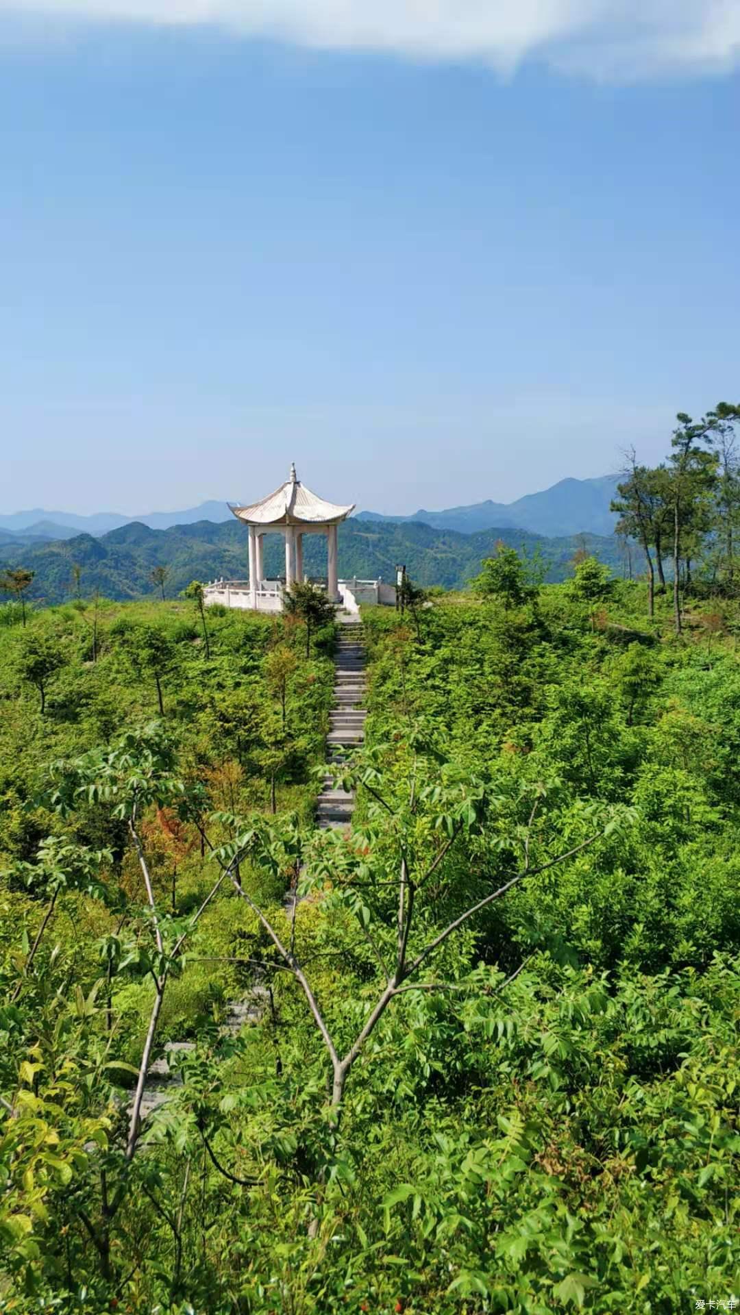 畅游红豆杉仙霞景区