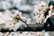 南京赏花之旅 | 春天是樱花绽放的季节，乱花渐欲迷人眼