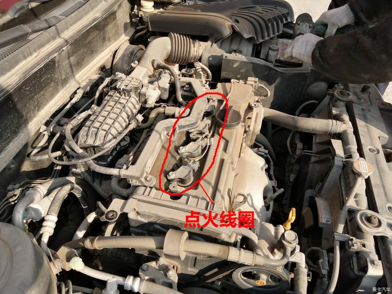 点击进入图库