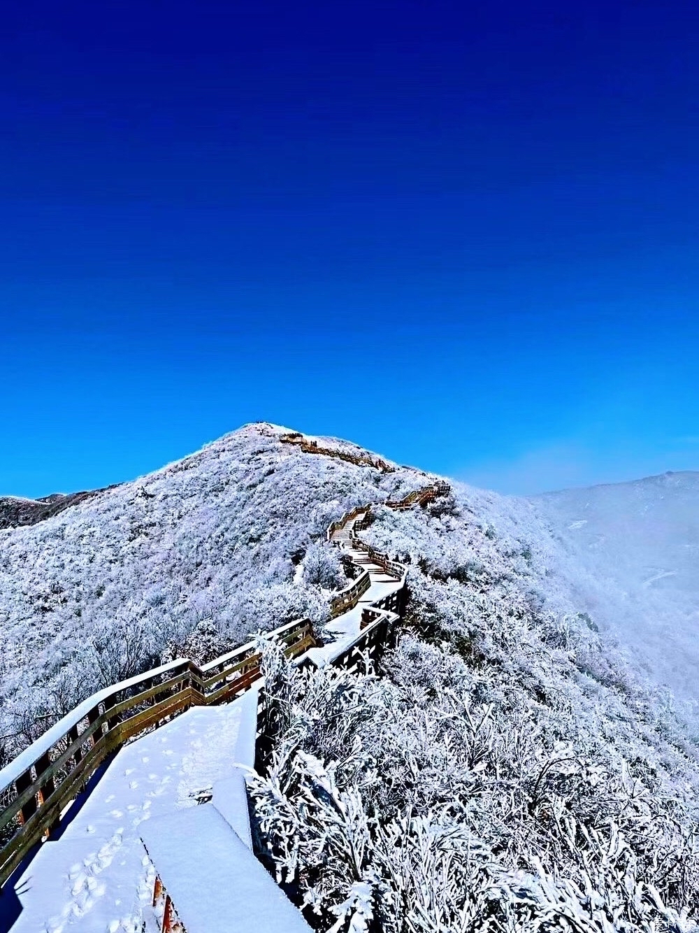 南方的雪也可以很美,不信!请看!