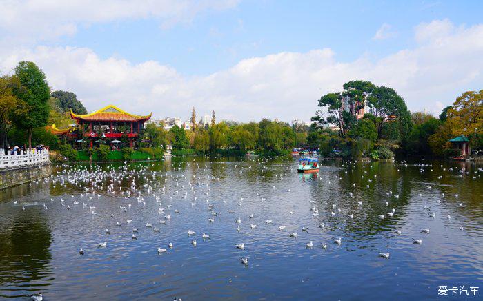 賞景賞花昆明翠湖公園一日遊